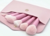 Picture of Set Brushes For Face